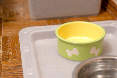 Cocolicious Dog Food Testing Cocolicious Dog Food Testing