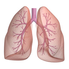 Pulmonary edema: causes, treatment, and symptoms   