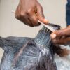Group of 38 Hair Relaxer Cancer Lawyers Reappointed to MDL Leadership Roles