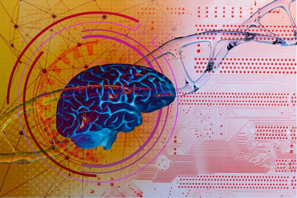 Brain Cell Activation Technique May Help Treat Autism, Cerebral Palsy: Study