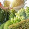 Chlorpyrifos-Insecticide-Parkinsons-Disease-Lawsuit