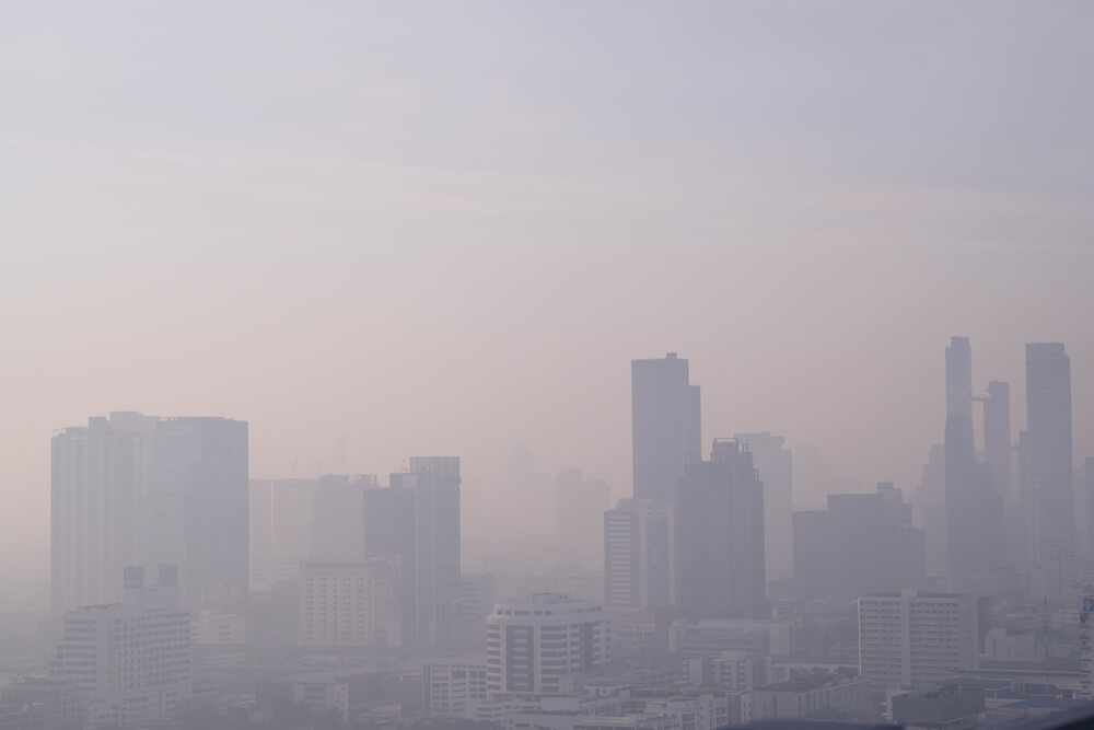 Exposure to Ozone Air Pollution Early in Life Linked to Asthma Risks Study
