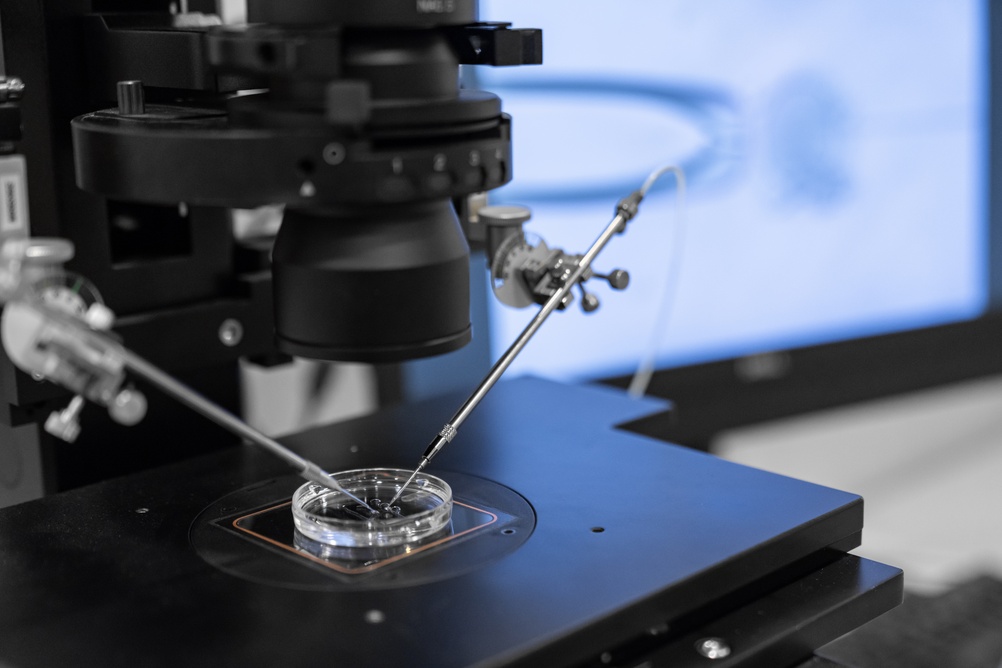 A settlement has been reached resolving claims that a New York fertility clinic’s mishandling and improper storage destroyed a New Jersey woman’s frozen eggs, ending her chances of having more biological children after she spent more than $80,000 on treatments.