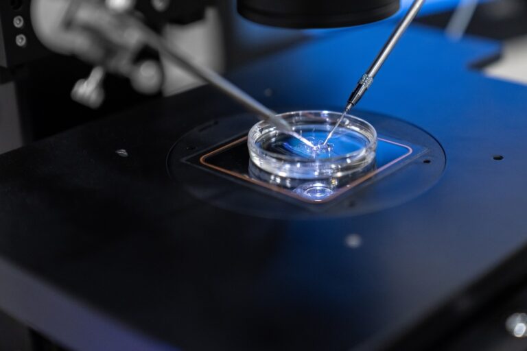 Fertility Treatments May Increase Women's Cancer Risks Study