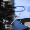 IVF Embryo Lawsuit Alleges Ovation Fertility PGT-A Testing Error Caused Loss
