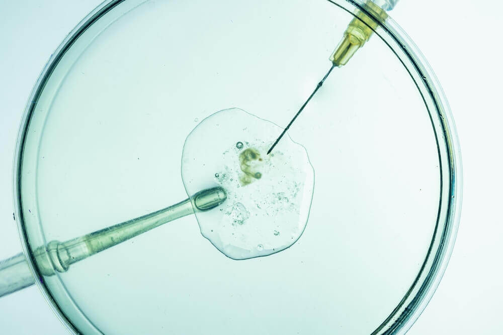 Lawsuit Alleges Oil for Embryo Culture Caused Wrongful Death of Unborn Child