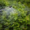 Paraquat MDL Judge Requires Settlement Holdouts To Meet With Special Master