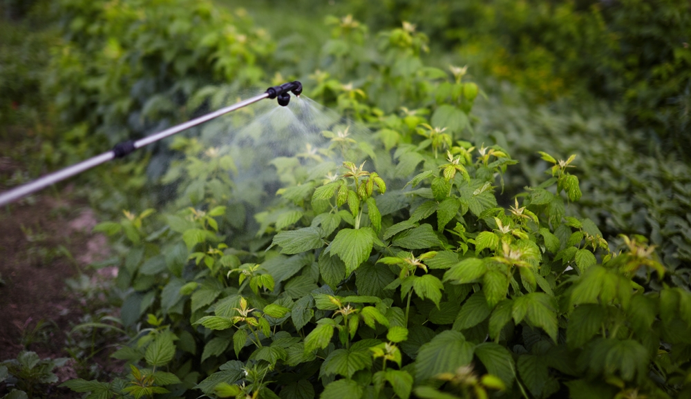 Paraquat MDL Judge Requires Settlement Holdouts To Meet With Special Master