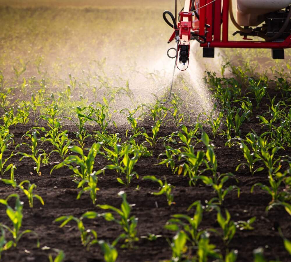 Pesticide Exposure May Increase Risks of IBD, Crohn's Disease and Ulcerative Colitis: Study
