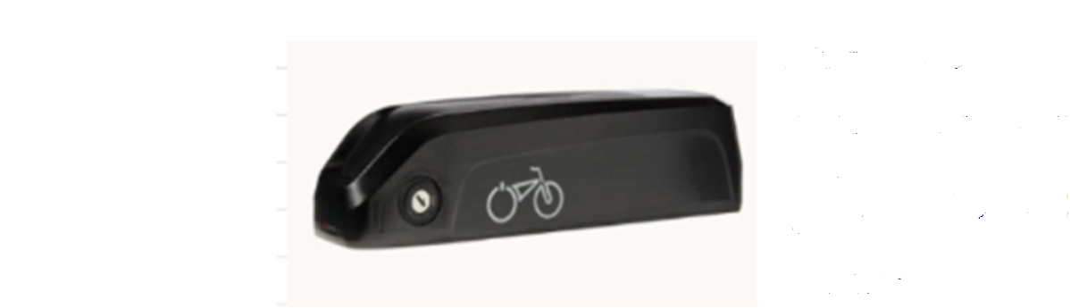 the manufacturer says it cannot afford a recall or provide replacement batteries