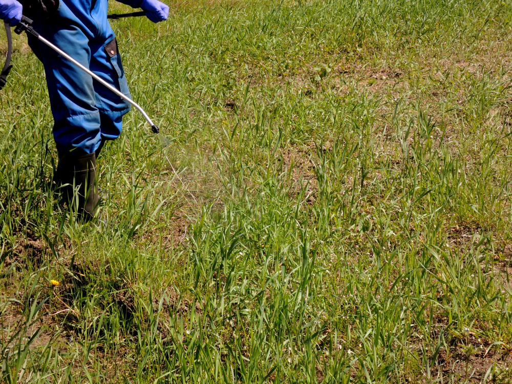 Roundup Safety Study Retracted Decades After Publication