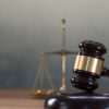 Ryobi Hedge Trimmer Recall Lawsuit Alleges Defect Caused Finger Amputation