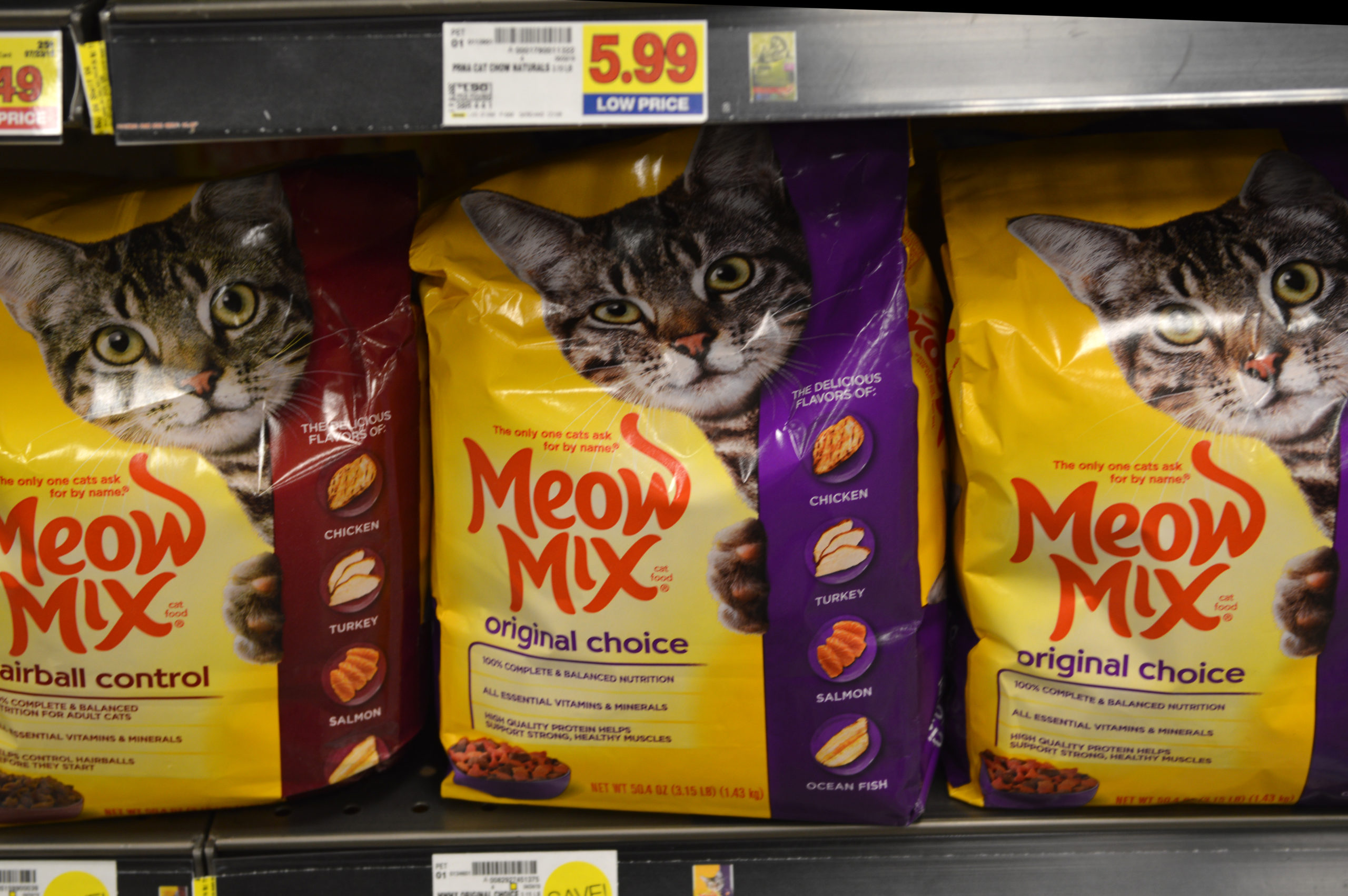 Meow Mix Cat Food Recall Issued Over Salmonella Poisoning Risks