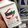 Glyphosate Replacement For Roundup Being Tested By Bayer Amid Lawsuits Over Non-Hodgkins Lymphoma Side Effects