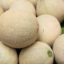 Cantaloupe Recall Leaves Two Dead, Dozens Hospitalized With Salmonella Poisoning