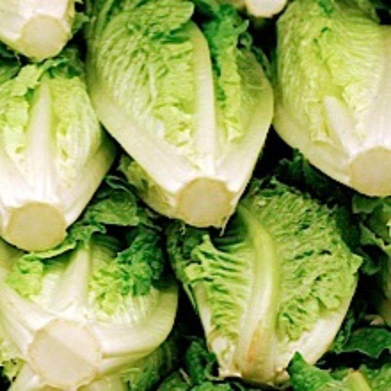 Romaine Lettuce E. Coli Food Poisoning Link Confirmed by FDA and CDC