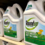 Roundup Verdicts Continue To Pile Up, With California Jury Awarding $332M Against Bayer, Monsanto