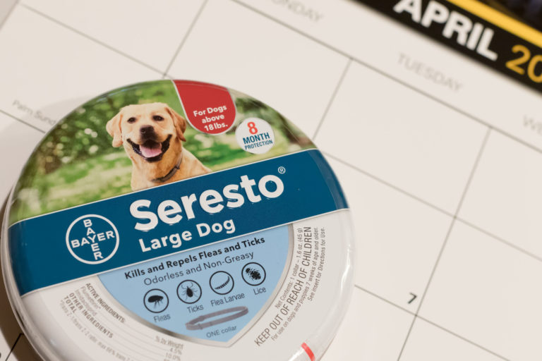 Seresto Pet Collar Poisoning May Have Caused Nearly 1,700 Pet Deaths