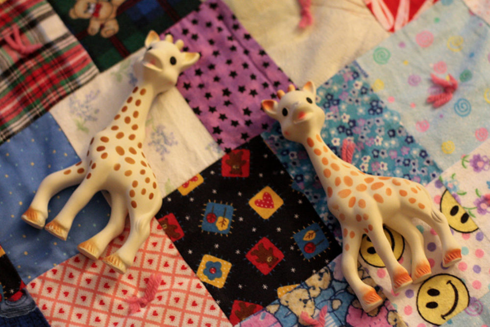 What To Do About The Sophie La Girafe Mold Problem