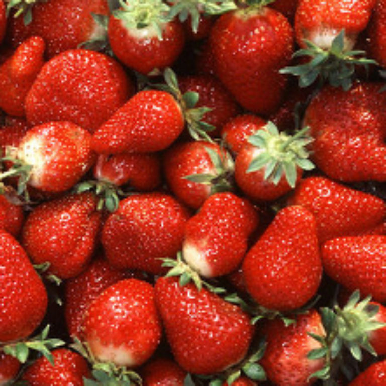 Oregon E. Coli Food Poisoning Outbreak Linked to Strawberries