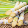 Sugar Cane Farmer Files Paraquat Lawsuit Over Parkinson's Disease Diagnosis